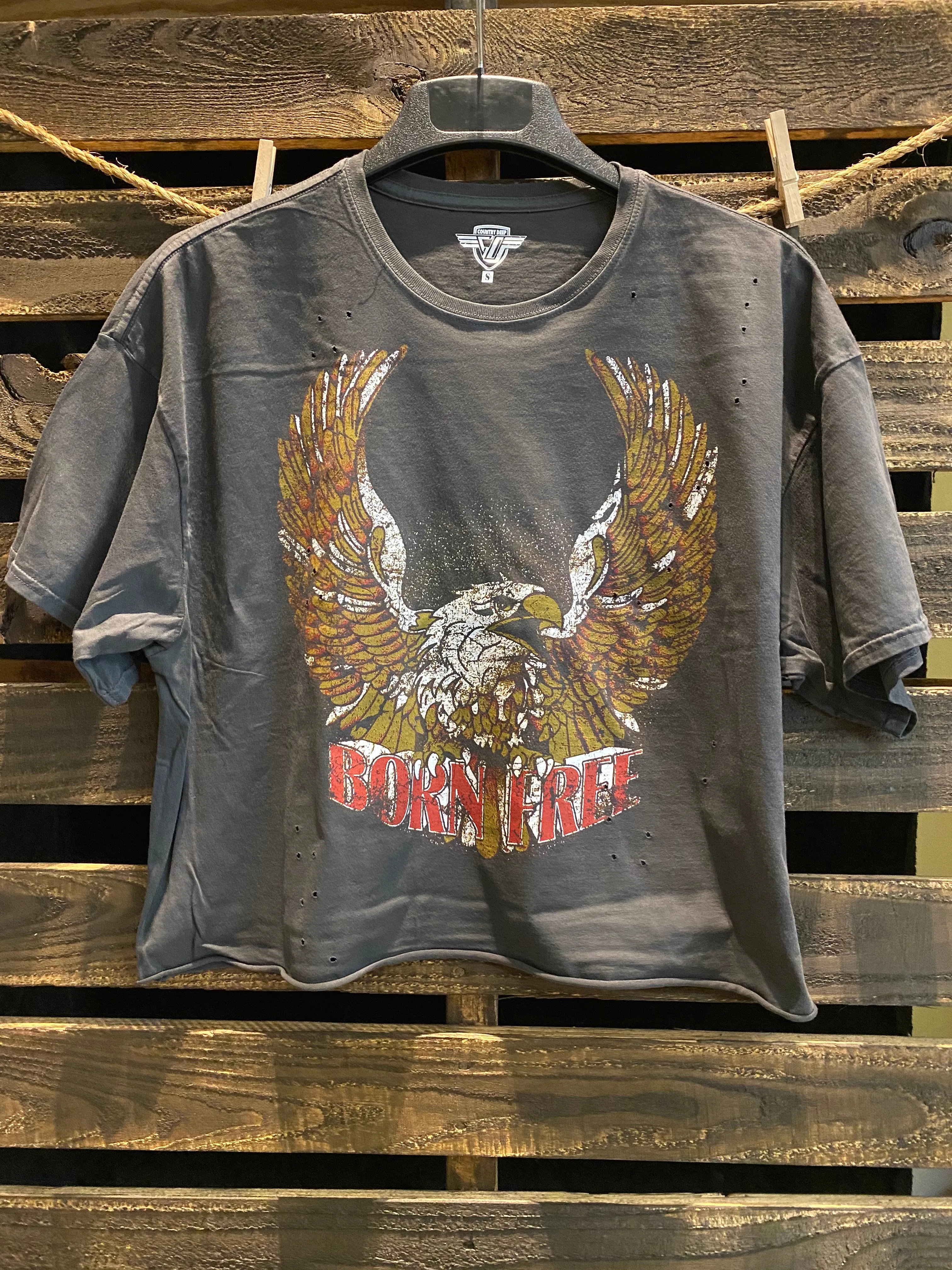 Born Free OVERSIZED 90's vibe distressed Cropped  T- shirt