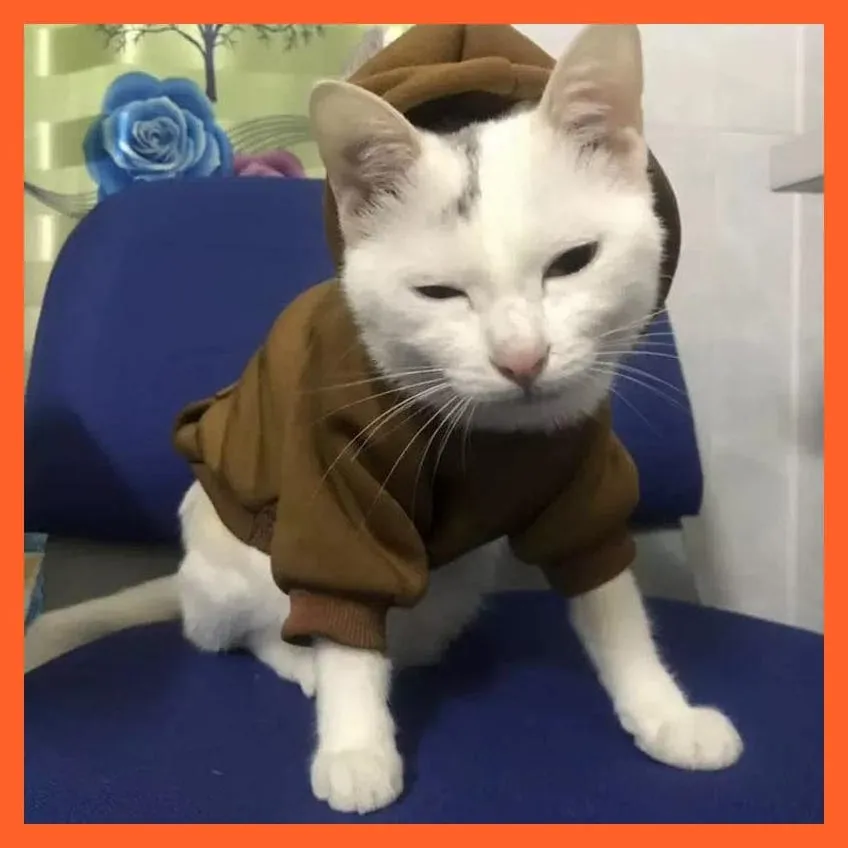 Cat Hoodie Winter Warm Jacket