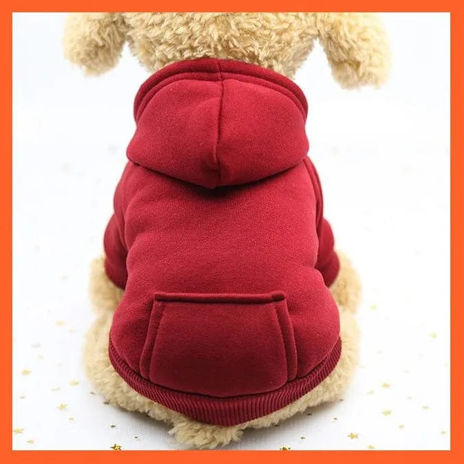 Cat Hoodie Winter Warm Jacket