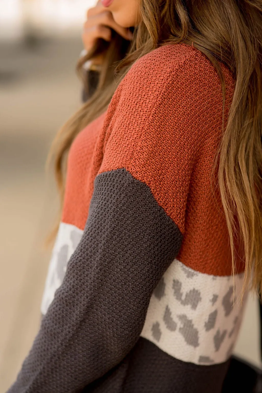 Leopard V-Block Sweater