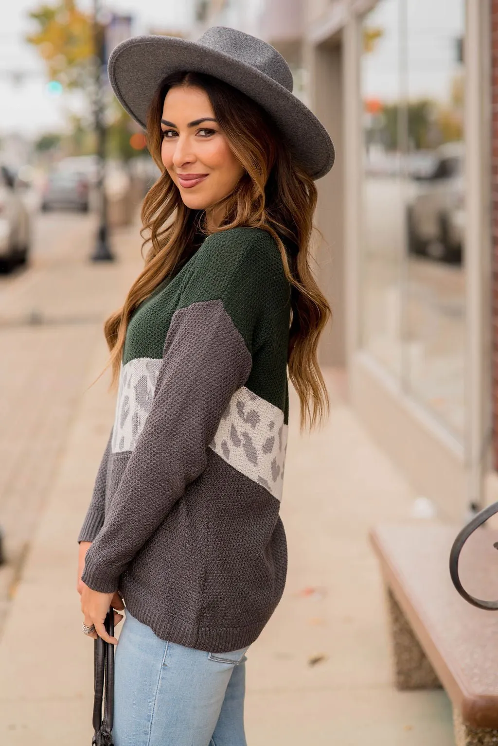 Leopard V-Block Sweater