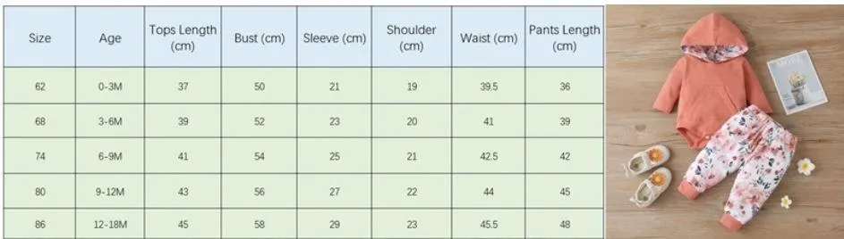 Shattered flowers Baby Girls Long Sleeve Hooded Romper and Pants baby clothing suppliers